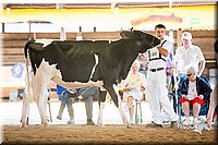 LCFair2016-4291.jpg