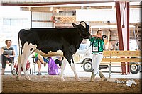 LCFair2016-4292.jpg