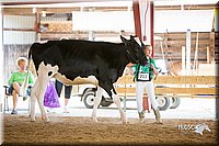 LCFair2016-4293.jpg