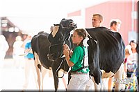 LCFair2016-4296.jpg