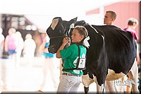 LCFair2016-4297.jpg