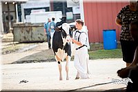 LCFair2016-4299.jpg