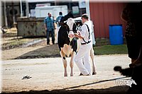 LCFair2016-4301.jpg