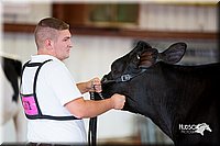 LCFair2016-4306.jpg