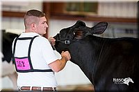 LCFair2016-4307.jpg