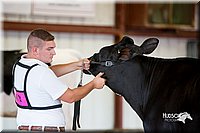 LCFair2016-4308.jpg