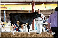 LCFair2016-4309.jpg