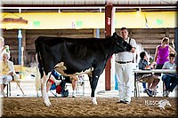 LCFair2016-4310.jpg