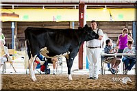 LCFair2016-4311.jpg