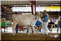 LCFair2016-4312.jpg