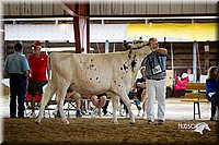 LCFair2016-4313.jpg