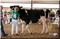 LCFair2016-4324.jpg