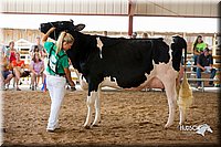 LCFair2016-4325.jpg