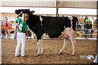 LCFair2016-4326.jpg