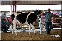 LCFair2016-4327.jpg