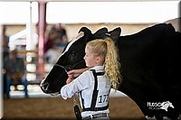 LCFair2016-4339.jpg