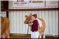 LCFair2016-4343.jpg