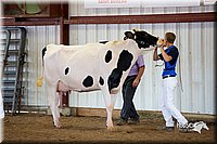 LCFair2016-4345.jpg