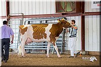 LCFair2016-4347.jpg