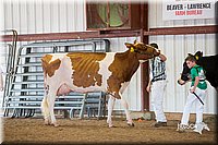 LCFair2016-4348.jpg