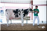 LCFair2016-4349.jpg