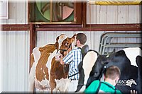 LCFair2016-4352.jpg