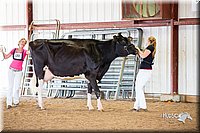 LCFair2016-4355.jpg