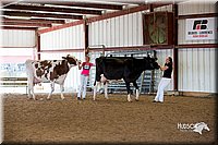 LCFair2016-4356.jpg