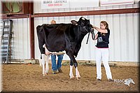 LCFair2016-4357.jpg