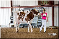 LCFair2016-4359.jpg