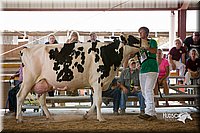 LCFair2016-4363.jpg