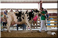 LCFair2016-4364.jpg