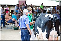 LCFair2016-4377.jpg