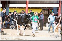 LCFair2016-4381.jpg