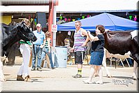 LCFair2016-4382.jpg