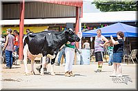 LCFair2016-4383.jpg