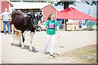 LCFair2016-4384.jpg