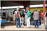 LCFair2016-4385.jpg