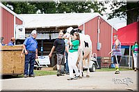 LCFair2016-4387.jpg