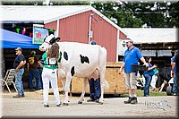 LCFair2016-4388.jpg