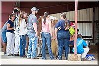 LCFair2016-4392.jpg