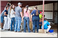 LCFair2016-4393.jpg