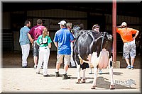 LCFair2016-4394.jpg