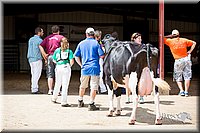 LCFair2016-4395.jpg