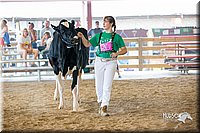 LCFair2016-4405.jpg