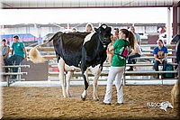 LCFair2016-4406.jpg