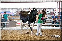 LCFair2016-4407.jpg