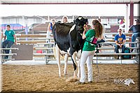 LCFair2016-4408.jpg