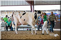 LCFair2016-4409.jpg