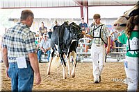 LCFair2016-4412.jpg